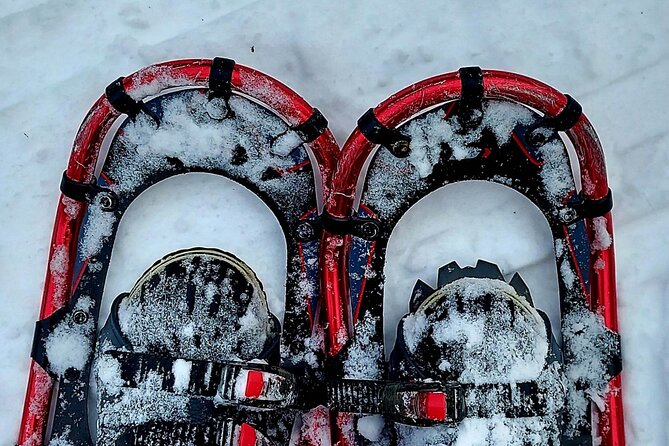 Private Snowshoeing on the Ile D’orléans