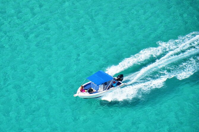 Private Speed Boat Tour and Dolphin Encounter at Ile Aux Benitier
