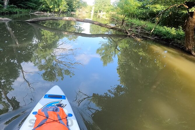 Private Stand Up Paddleboarding Trip on Dyje River