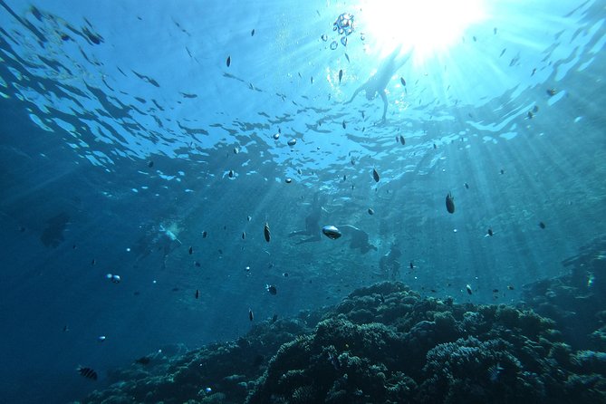Private Sunset & Snorkeling Tour in Hurghada