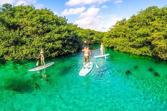 Private SUP & Snorkel Tour To Casa Cenote & Our Favorite Tacos :)