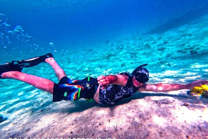 Private Swimming With Wild Pigs in Exuma – a Taste of Paradise!