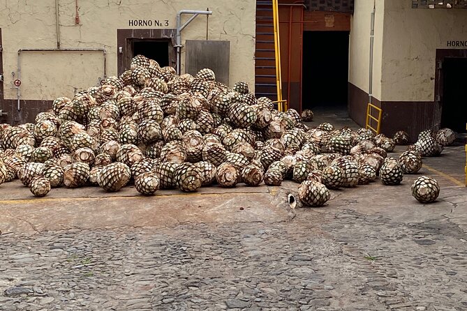 Private Tequila Tasting Tour