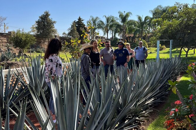 Private Tequila Tour With Local Expert