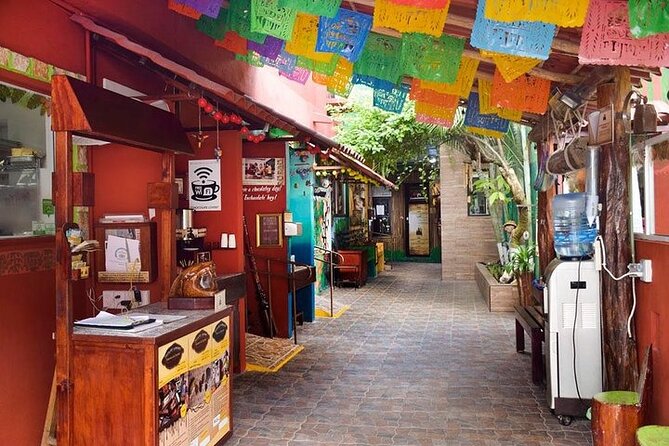 Private Tour: 5-Hour Cozumel Sightseeing With Private Driver and Tequila Tasting