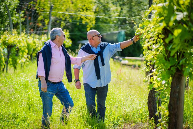 Private Tour and Goblet Walking in the Valdobbiadene Vineyards