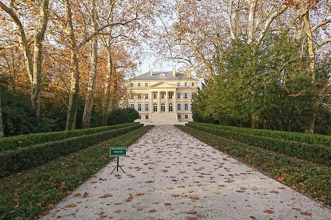 Private Tour and Visits on the Medoc Castle Route (Luxury Minivan)