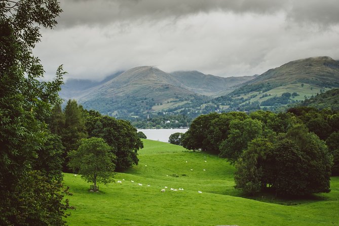 Private Tour: Beatrix Potter Tour in 16 Seater Minibus