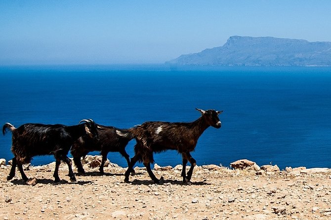 PRIVATE TOUR by 4×4 to Balos Lagoon and Falassarna Beach
