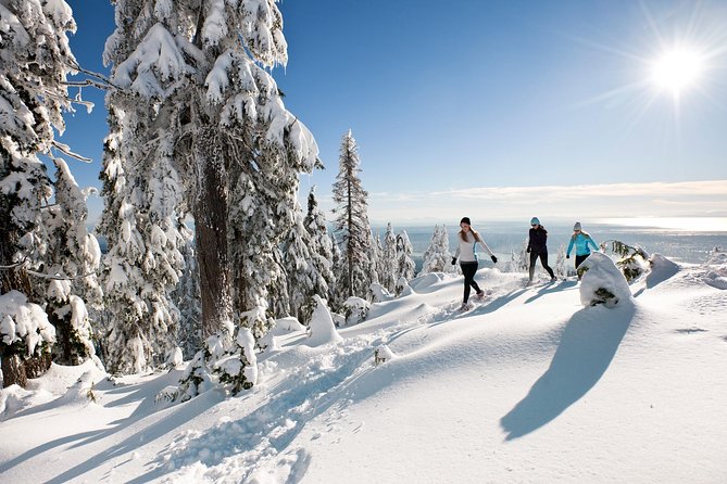 Private Tour: Capilano Suspension Bridge and Grouse Mountain
