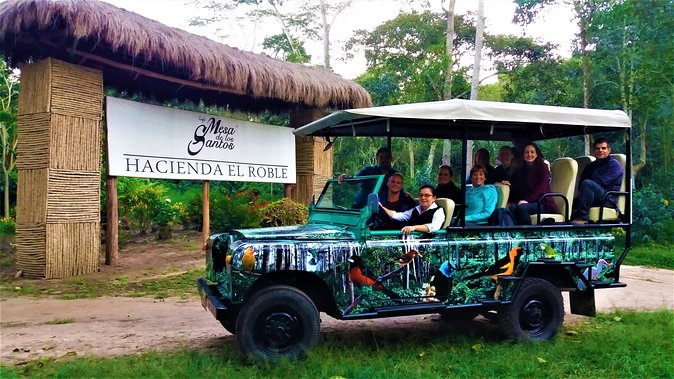 Private Tour – Coffee Tour (Cultivations)