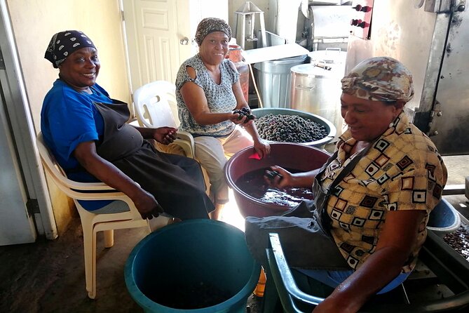 Private Tour Damajagua Waterfalls and Dominican Flavours