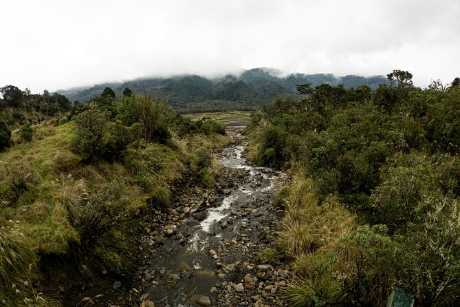 Private Tour Deer in the Chingaza Páramo and Suasie Trail