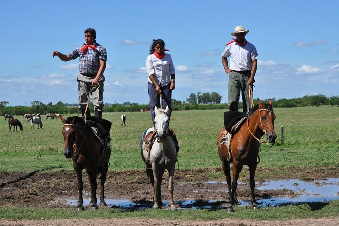 Private Tour: Don Silvano Gaucho Ranch From Buenos Aires