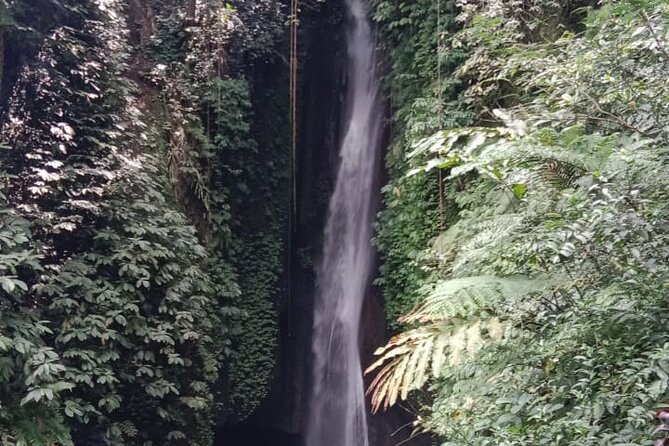 Private Tour From Leke-Leke Waterfall to Jatiluwih Rice Terrace
