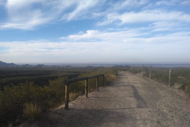 Private Tour From Mendoza to the Divisadero Largo