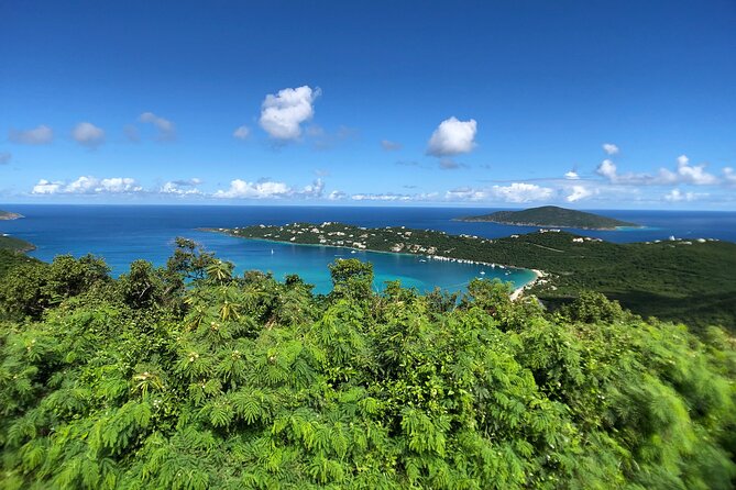 Private Tour Hull Bay Farm & Beach