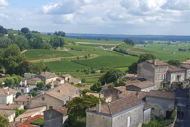 Private Tour in Saint-Emilion, Medieval Village and Wine Tasting