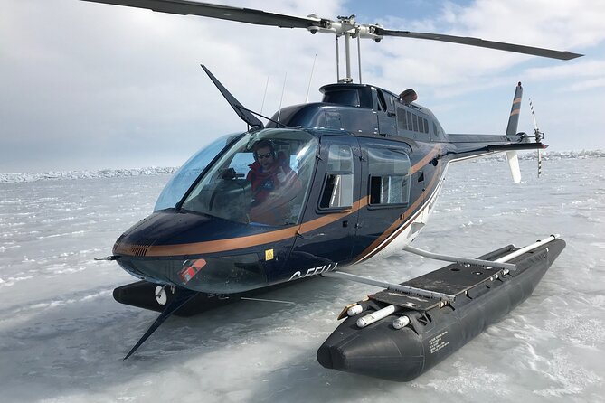 Private Tour: Niagara Falls Helicopter Flight