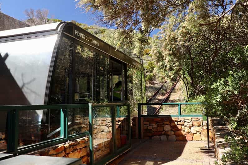 Private Tour of Cape Point + Boulders Beach Penguins Colony