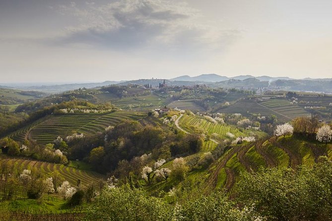 Private Tour of Goriska Brda Wine Hills From Ljubljana
