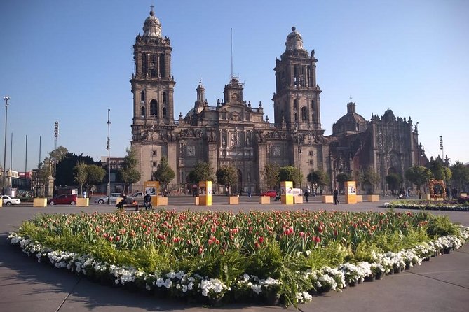 Private Tour of Mexico City With Anthropology