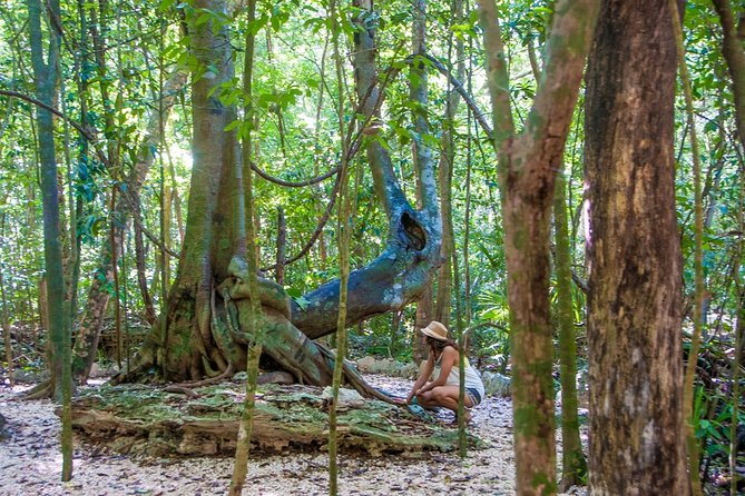 Private Tour of Tulum Archaeological Site & Sian Kaan Muyil