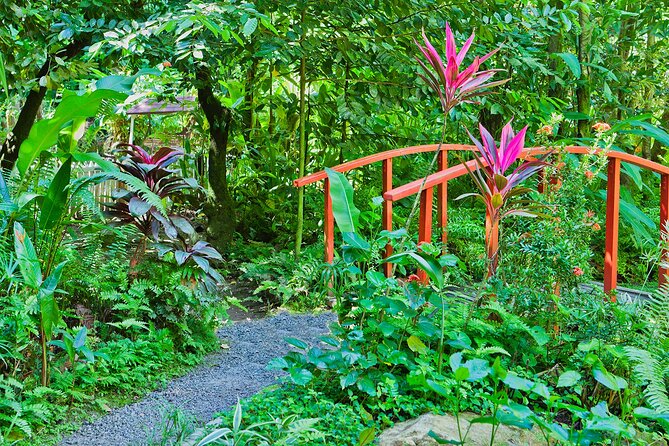 Private Tour St. Lucia Botanical Gardens and Waterfall