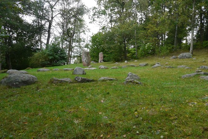 Private Tour: Swedish Iron Age Excursion From Stockholm 3h - Tour Overview