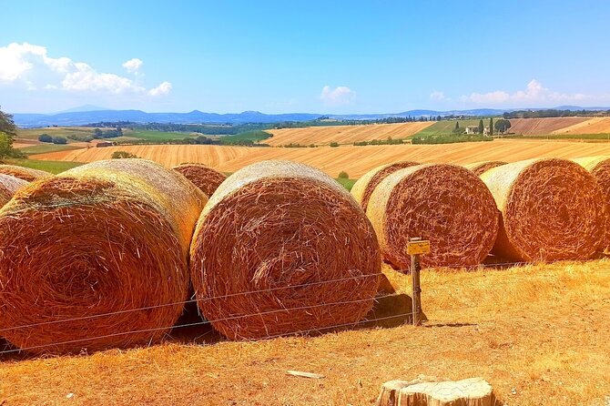 PRIVATE TOUR: Sweet Hills of Chianti & Siena + Lunch & 2 Tastings