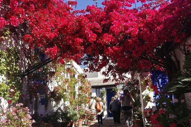 Private Tour: the Courtyards of Cordoba