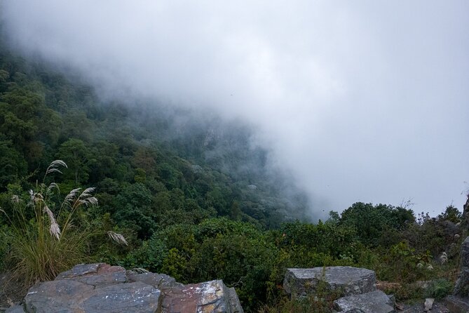 Private Tour Through the Chicaque Natural Park and Forest of Fog