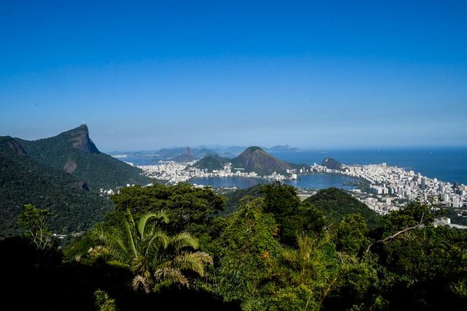 Private Tour: Tijuca National Park With a Photographer - Tour Overview