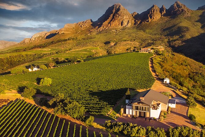 Private Tour to 20 Wine Tasting in Stellenbosch and Franschhoek