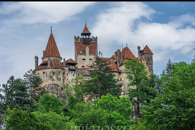 Private Tour to Bears Sanctuary and Draculas Castle