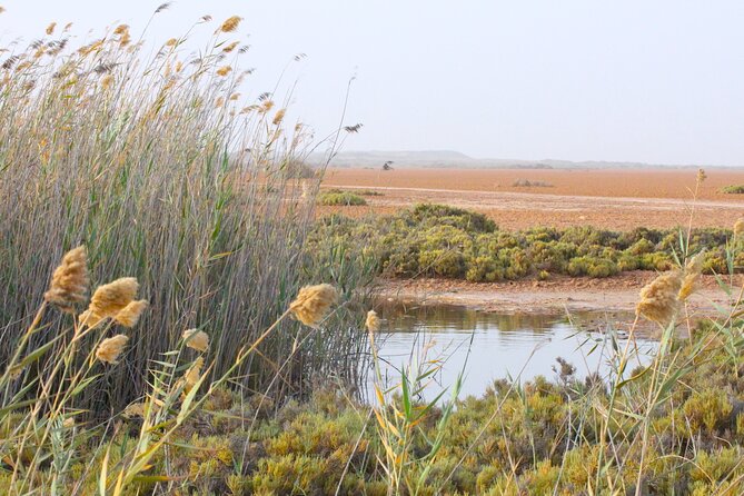 Private Tour To Imlili Natural And Human History