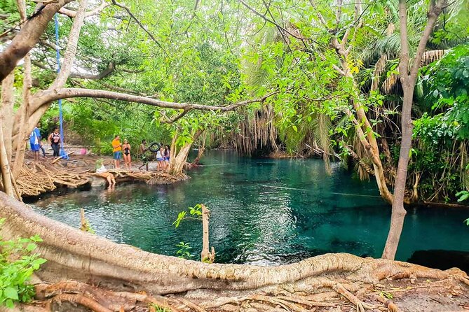 Private Tour to Materuni Waterfalls, Coffee Tour, Kikuletwa Hot Springs & Maasai - Tour Highlights