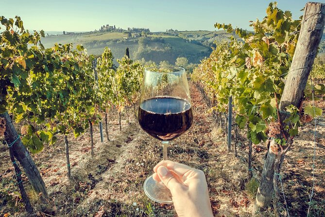 Private Tour to Ravello & Winery With Local Food & Wine Tasting - Winery Visit and Wine Tasting