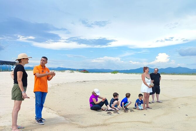 Private Tour to Release Turtles With Tickets Included