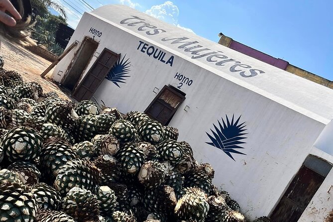 Private Tour to Tequila Unique Experience Price Groups of up to 4