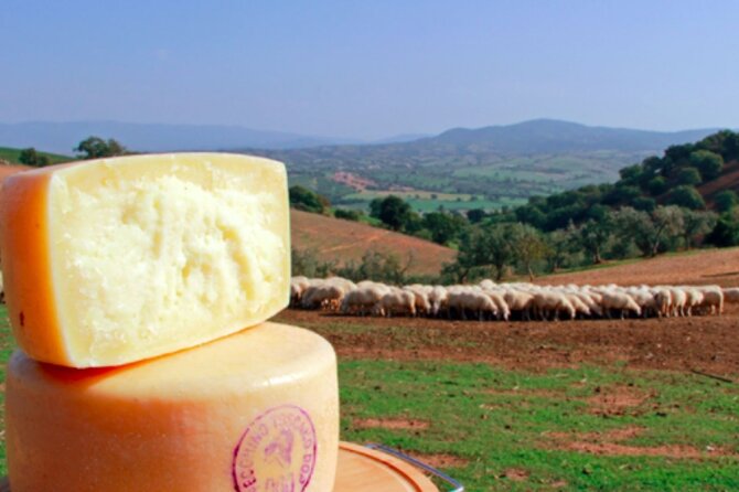Private Tour Wine and Cheese a Perfect Combinations Val Orcia