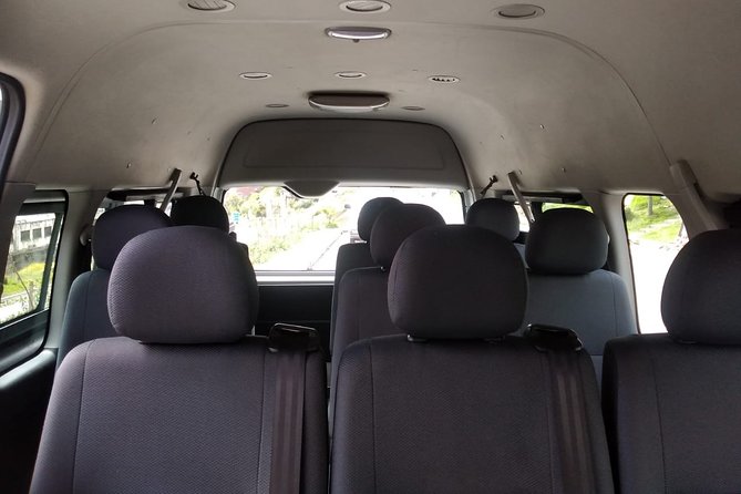Private Transfer From Hotel to Airport in La Paz City - Service Overview