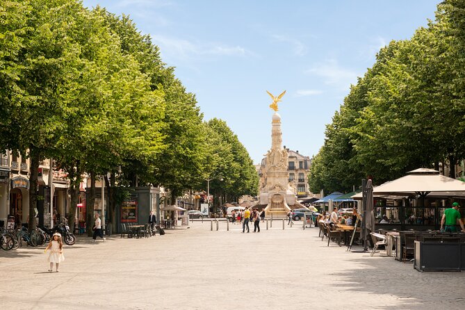 Private Transfer From Reims or Epernay to CDG Airport or Paris - Pricing and Group Size Details