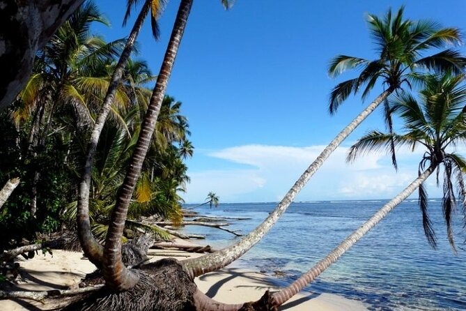 Private Transfer From San Jose City To Cahuita Costa Rica