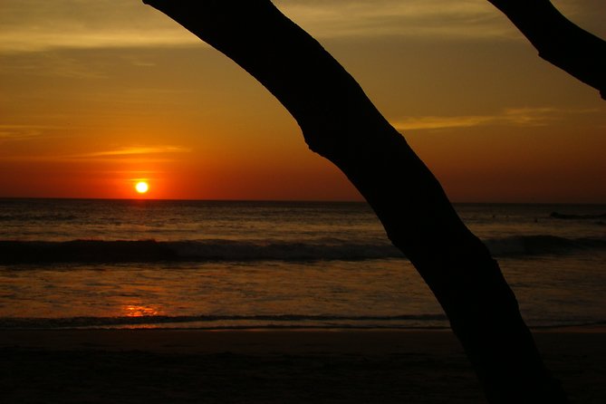 Private Transportation From SJO Airport to Nosara, Guanacaste - Convenient Features