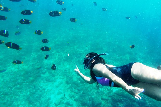 Private Trip: Snorkeling at Los Arcos & Colomitos Beach - Overview and Highlights