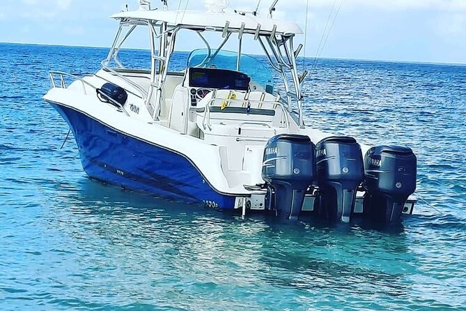Private Trip to Cayo Icacos Island