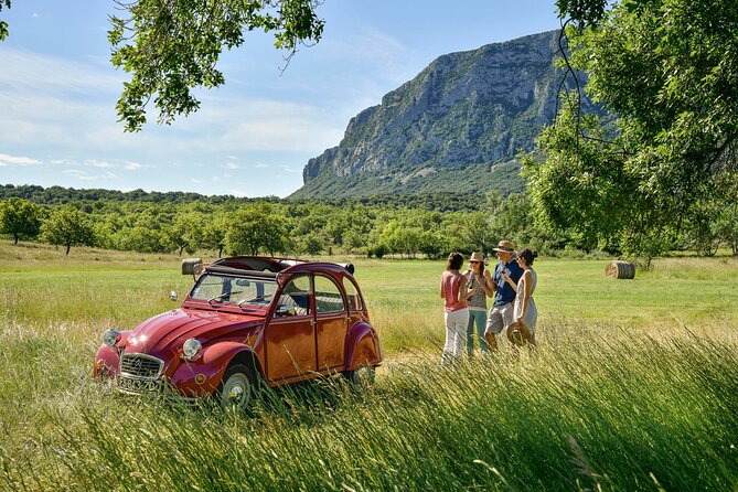 Private Vintage Car Half-Day Wine Tour in 2CV