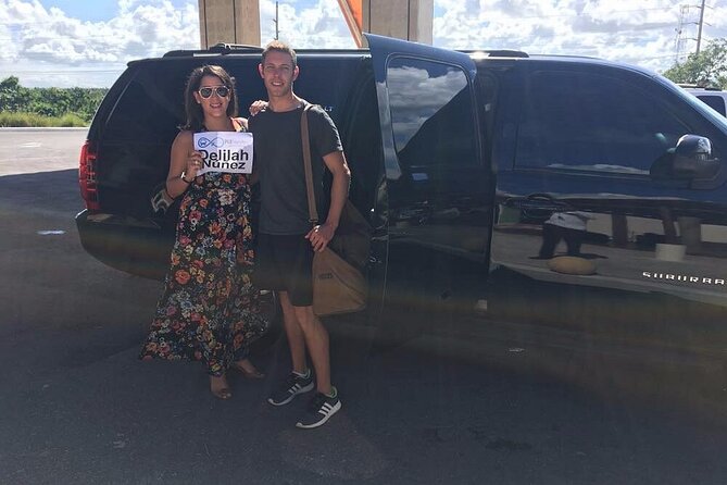 Private VIP Transfer Punta Cana Airport to Hotels in Punta Cana - Service Overview