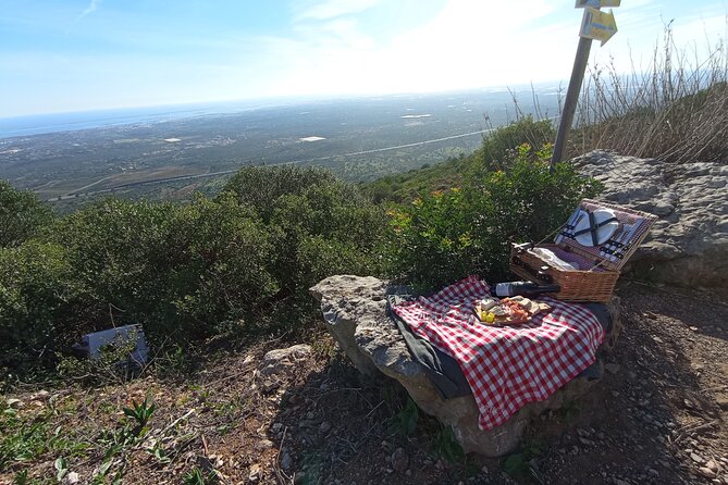 Private Walking Tour and Guided Picnics With Local Food and Wine - Meeting and Pickup Details